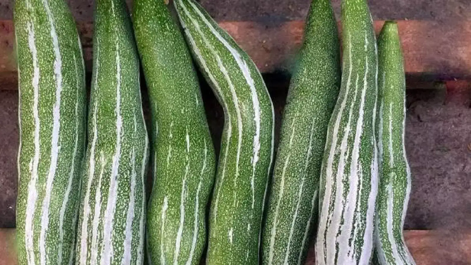 புடலங்காய் விலை உயர்வு.. இன்றைய காய்கறி விலைப் பட்டியல்! 