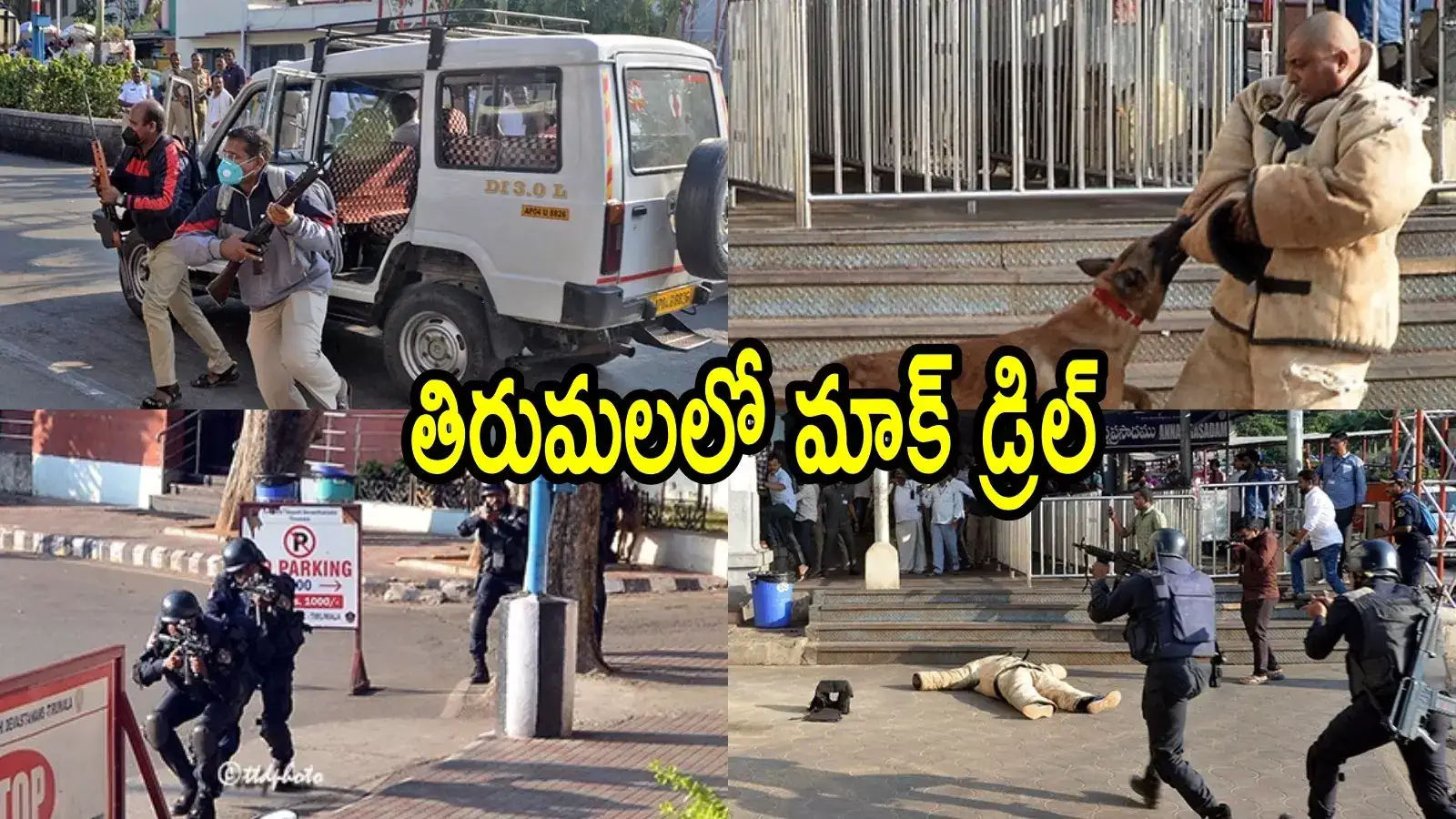 తిరుమలలో ఆక్టోపస్ బలగాలు.. ముందు జాగ్రత్తగా అలర్ట్