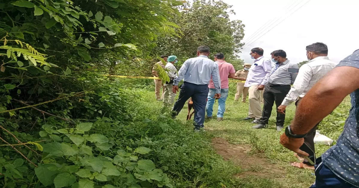 अकोला हादरलं! तरुणी अचानक घरातून बेपत्ता, सगळीकडे शोधाशोध, आता धक्कादायक बातमी आली समोर