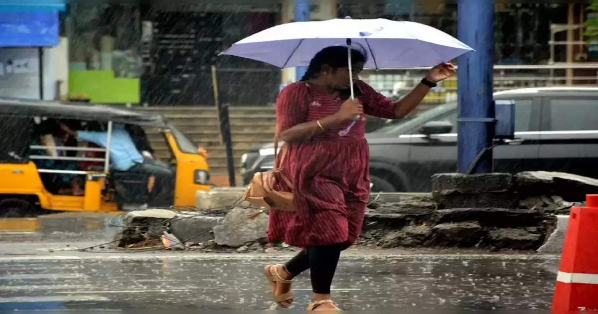 महाराष्ट्रात पावसाचं जोरदार कमबॅक, मुंबईसह तब्बल २३ जिल्ह्यांना मुसळधार पावसाचा येलो अलर्ट