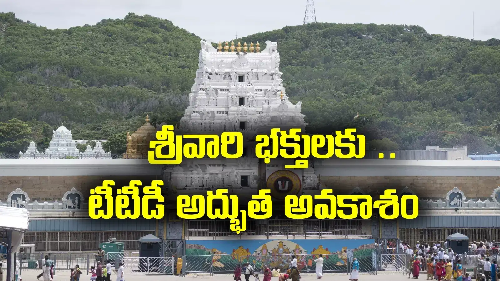 TTD Auction: తిరుమల శ్రీవారి భక్తులకు అలర్ట్.. టీటీడీ అద్భుత అవకాశం.. ఛాన్స్ మిస్ కావొద్దు..