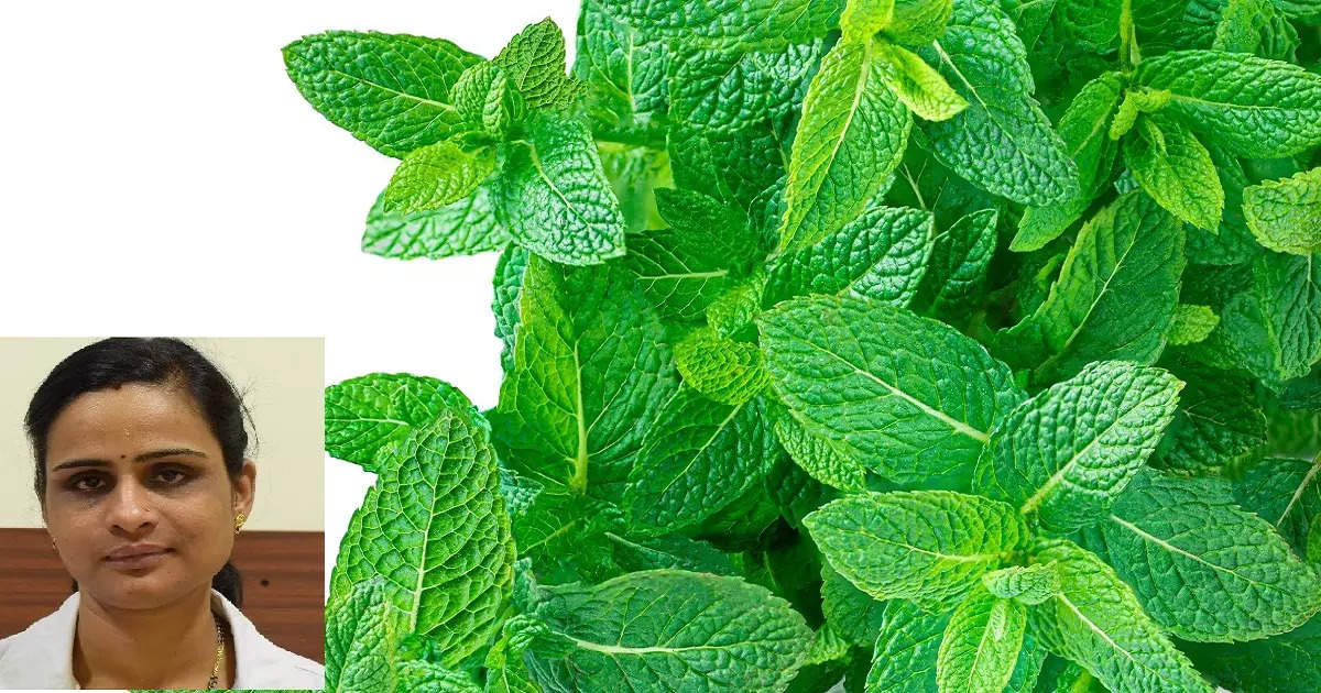 Mint Leaves Benefits In Ayurveda