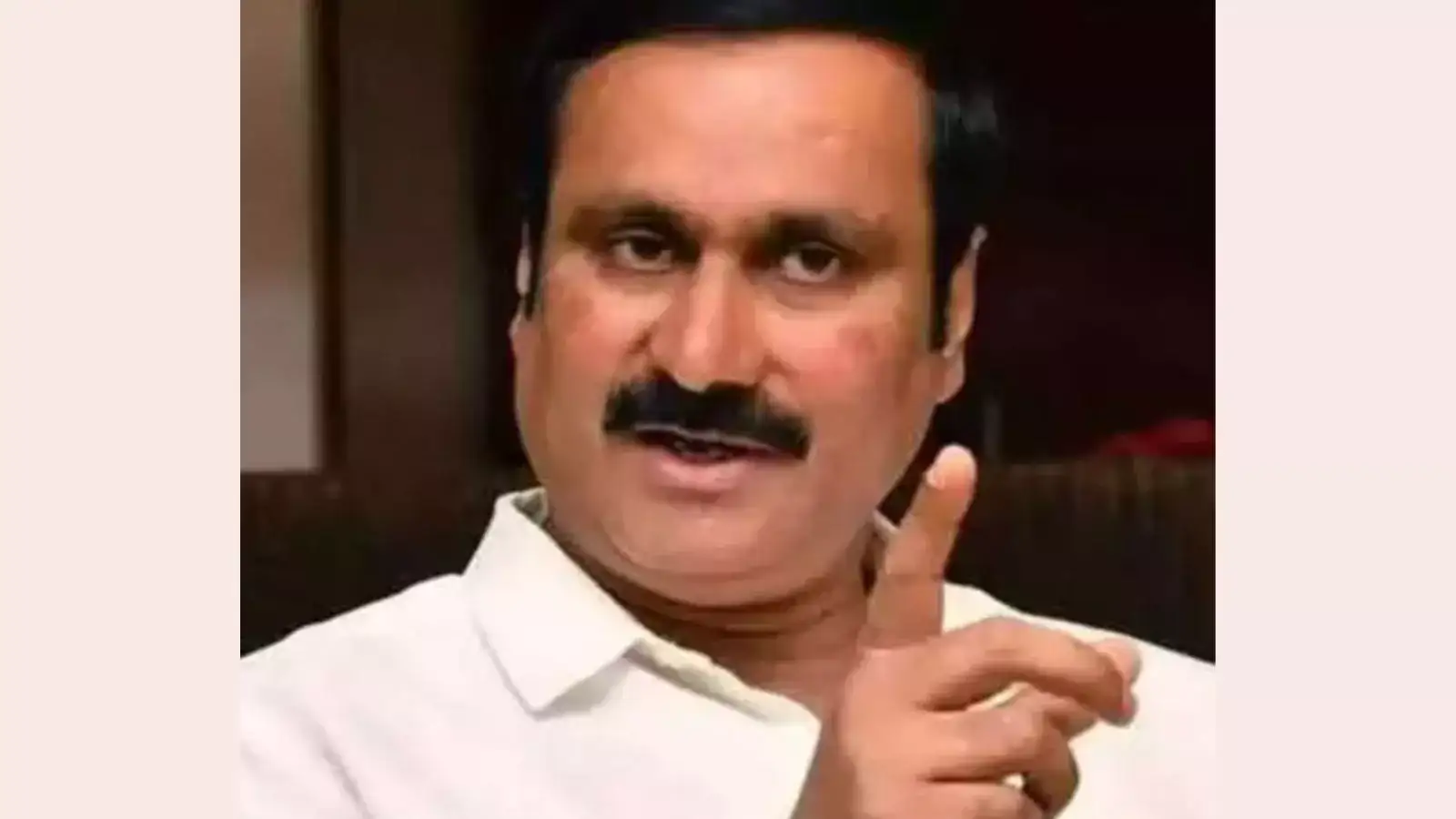 அதை பண்ண முடியல.. கிளி ஜோசியர் கைது பண்றீங்க.. திமுகவை விளாசிவிட்ட அன்புமணி! 