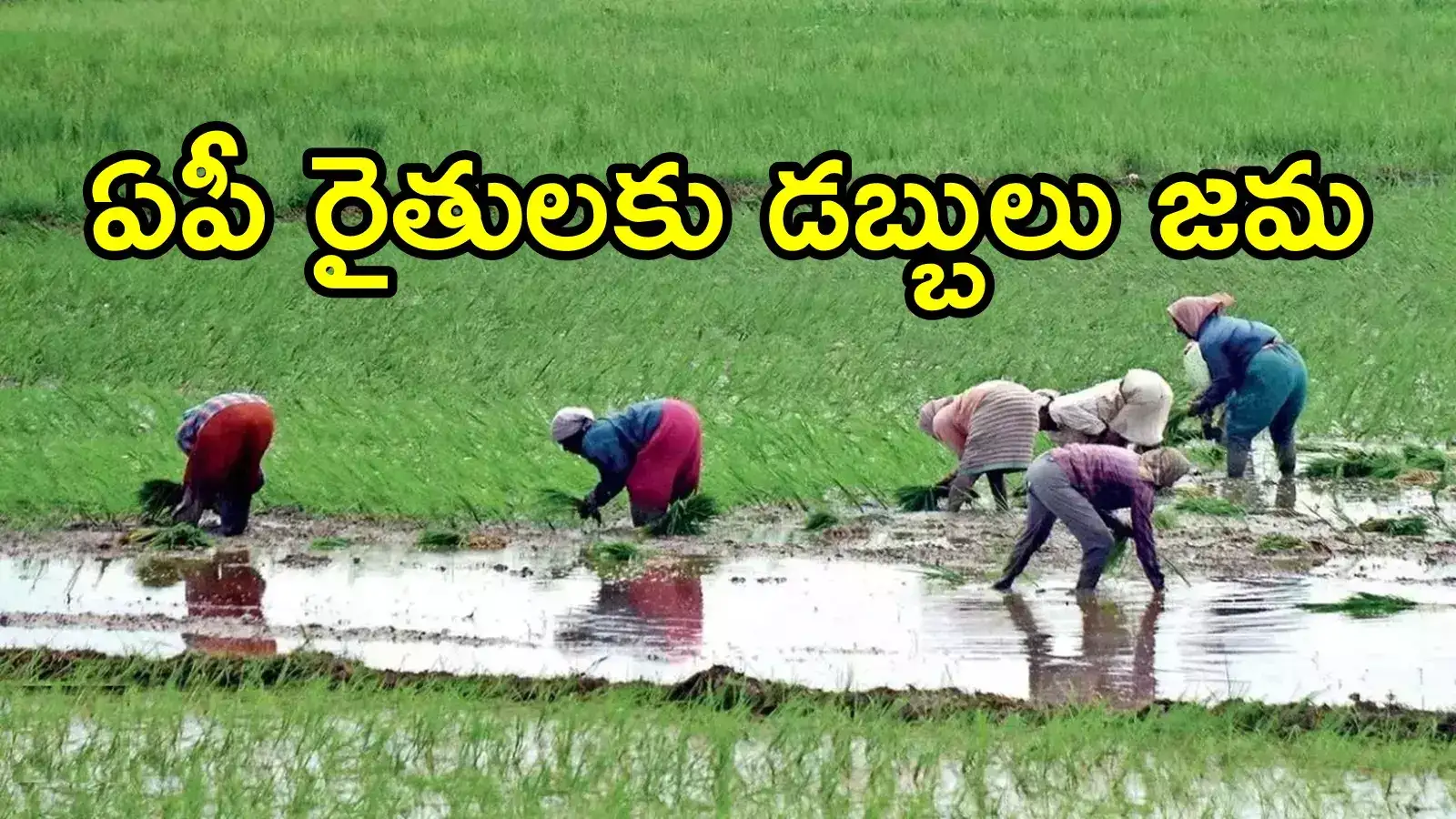 ఏపీలో రైతుల అకౌంట్‌లలో డబ్బులు జమ.. మొత్తం ఎంతంటే!