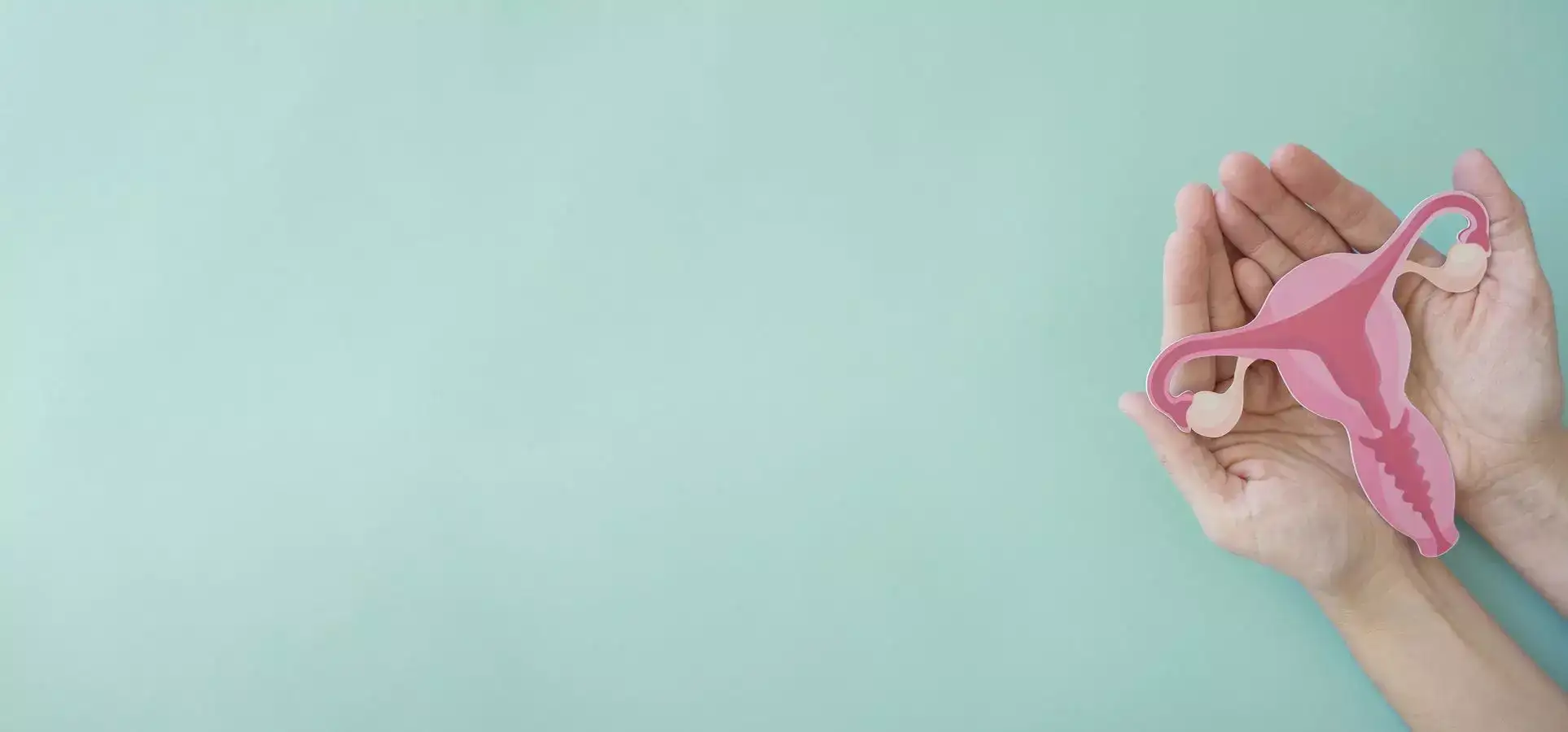Endometrial Polyps: A Hidden Cause of Infertility