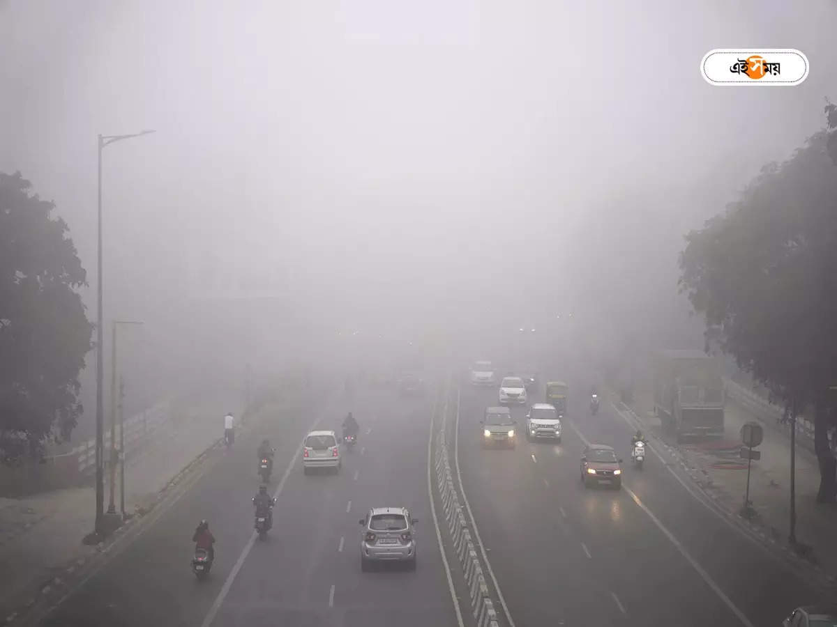 Weather Forecast Kolkata : নদিয়া সহ ৩ জেলায় বৃহস্পতিতে বাড়বে বৃষ্টি, হাওয়া বদল কবে? – kolkata weather and west bengal rain forecast 1st february rainfall will increase in nadia and other 2 districts