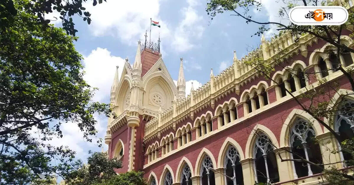 কলকাতা হাইকোর্ট,বহরমপুরে নির্বাচন পিছিয়ে যাক, মুর্শিদাবাদে রাম নবমীর অশান্তির ঘটনায় পর্যবেক্ষণ হাইকোর্টের – calcutta high court observation to postpone baharampur constituency lok sabha election