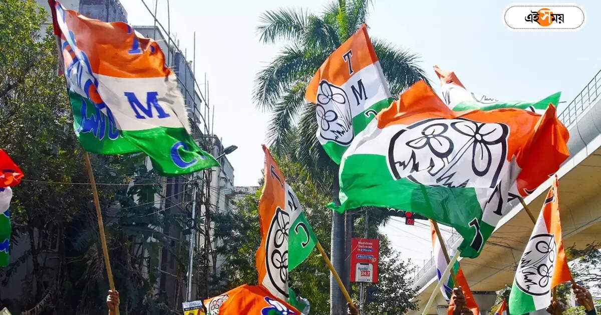 West Bengal Police : ‘এমন বিছুটি ঘষে দেবে যে সুড়সুড়ি…’, পুলিশকেই চরম কটাক্ষ তৃণমূল নেতার – malda harishchandrapur trinamool congress leader attack west bengal police