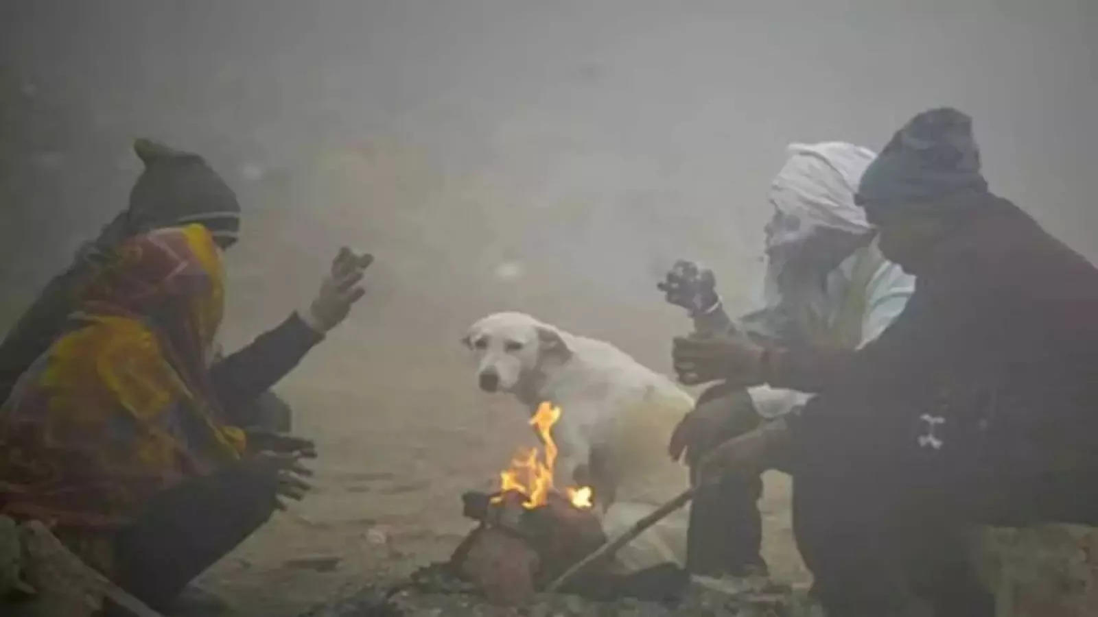 Jharkhand Weather: झारखंड में धुंध का 'कोहरा' छाया, ठंड से 'ठिठुरन' बढ़ी; बारिश करेगी आंख मिचौली