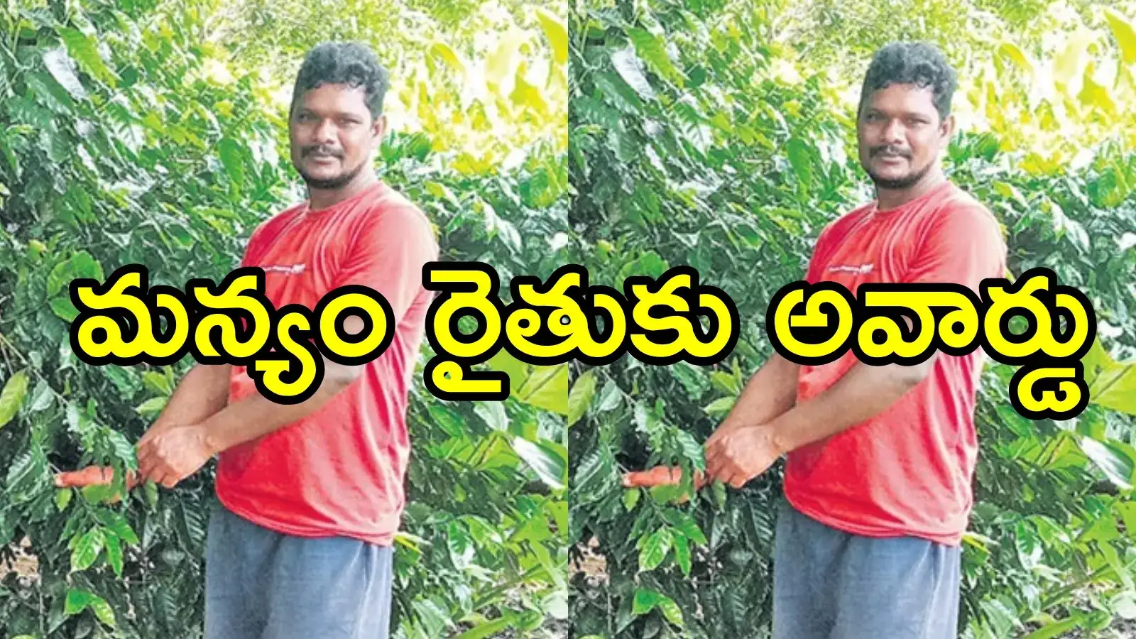 లంబసింగి కాఫీ రైతుకు అరుదైన గౌరవం.. పైన్‌కప్‌-2024 అవార్డు దక్కింది