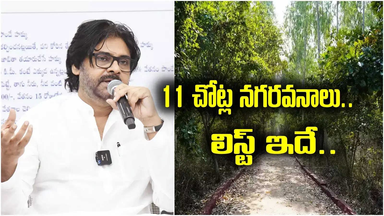 ఏపీకి కేంద్రం తీపికబురు.. 11చోట్ల నగరవనాలు.. నిధులు విడుదల