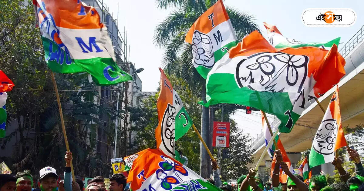 TMC Candidate List 2024 : জোড়াফুলের হাতিয়ার অম্বেদকর, কৃষ্ণ মেনন – shatrughan sinha and yusuf pathan selected as trinamool candidate for 2024 lok sabha election