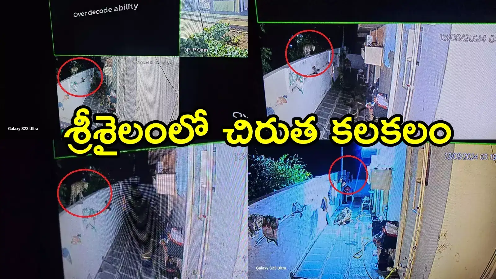 శ్రీశైలంలో చిరుత కలకలం.. ఆలయ ఏఈవో ఇంటి దగ్గర సంచారం, భక్తుల్లో భయం