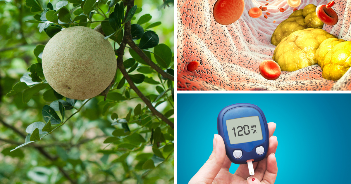 Best Foods For Diabetes And High Cholesterol, Diabetes-Cholesterol’s sure enemy is 10 rupees.  6 amazing health benefits of kaitha fruit or wood apple to control diabetes and high cholesterol