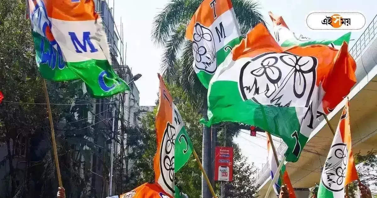 Trinamool Congress : বঙ্গভঙ্গের বিরুদ্ধে প্রস্তাব বিধানসভায় আনছে তৃণমূল – trinamool congress is going to bring west bengal anti partition resolution in assembly