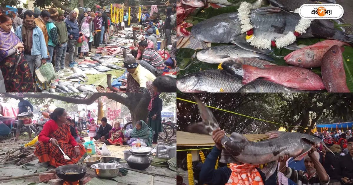 Fish Market : কেষ্টপুরে মাছের মেলা! ইলিশ থেকে ভেটকি, তাজা মাছের পসরা – bandle kestopur fish fare know 517 year old history