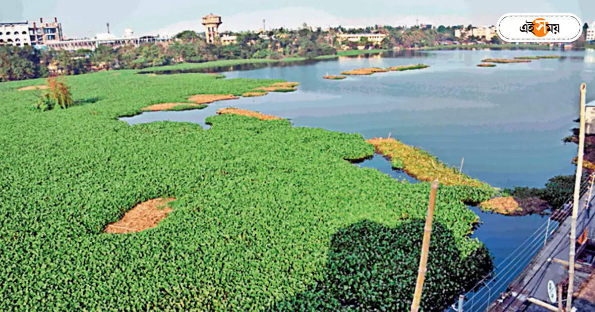 Santragachi Jheel,কাটল জমি-জট, ঝিলে দ্রুত ট্রিটমেন্ট প্ল্যান্ট – land dispute solved in santragachi jheel