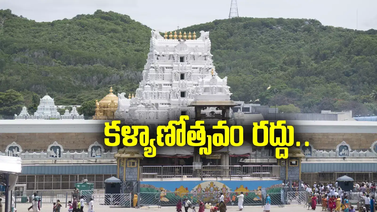 Tirumala: శ్రీవారి భక్తులకు అలర్ట్.. ఆ రోజు కళ్యాణోత్సవం రద్దు