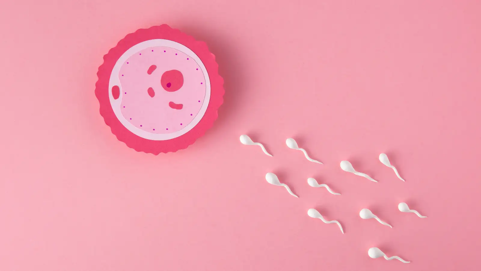 Can You Get Pregnant with Low Egg Count? What AMH Really Means
