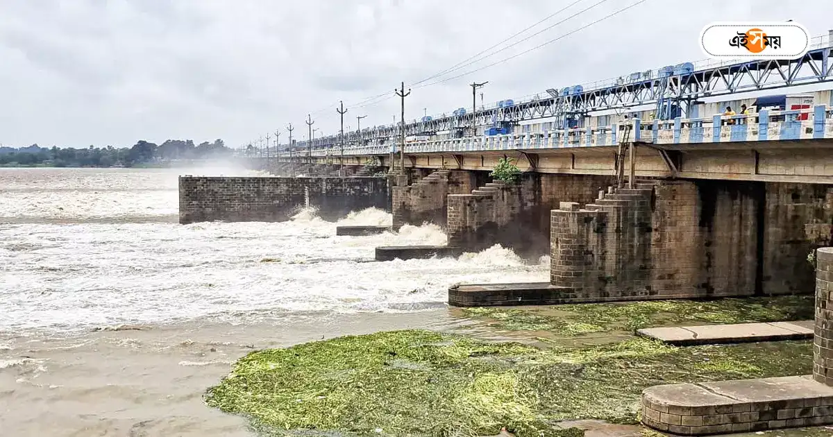 Dvc Water Release,ফের জল ছাড়ার মাত্রা বাড়াল ডিভিসি, জারি কমলা সতর্কতা – dvc increased water release again issued orange alert