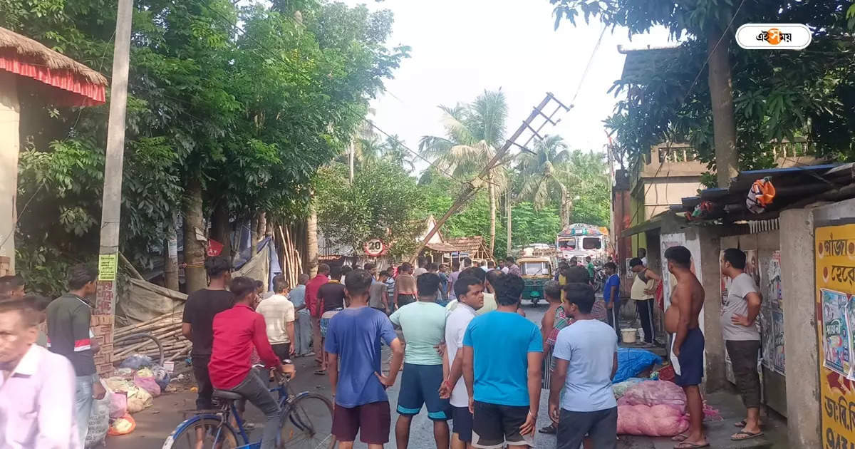 সবজি বোঝাই গাড়িতে সজোরে ধাক্কা ট্রাকের, বারুইপুরে দুর্ঘটনায় মৃত ২ – an accident happened in baruipur 2 people lost life