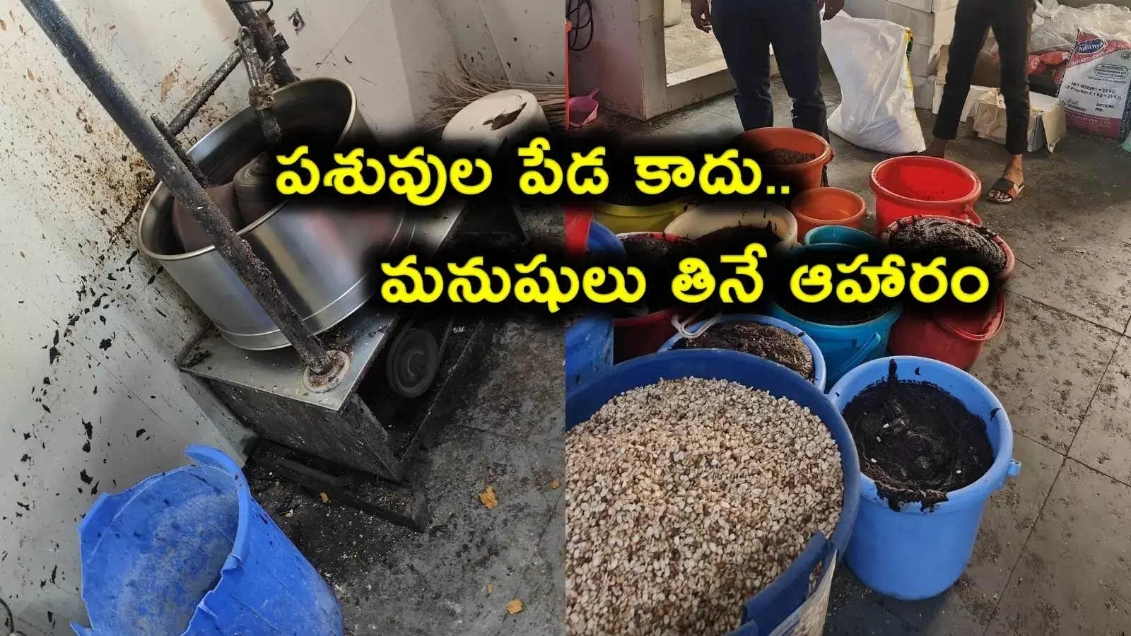 పశువుల తిండిని తింటున్నామా..? తనిఖీల్లో షాకైన అధికారులు..