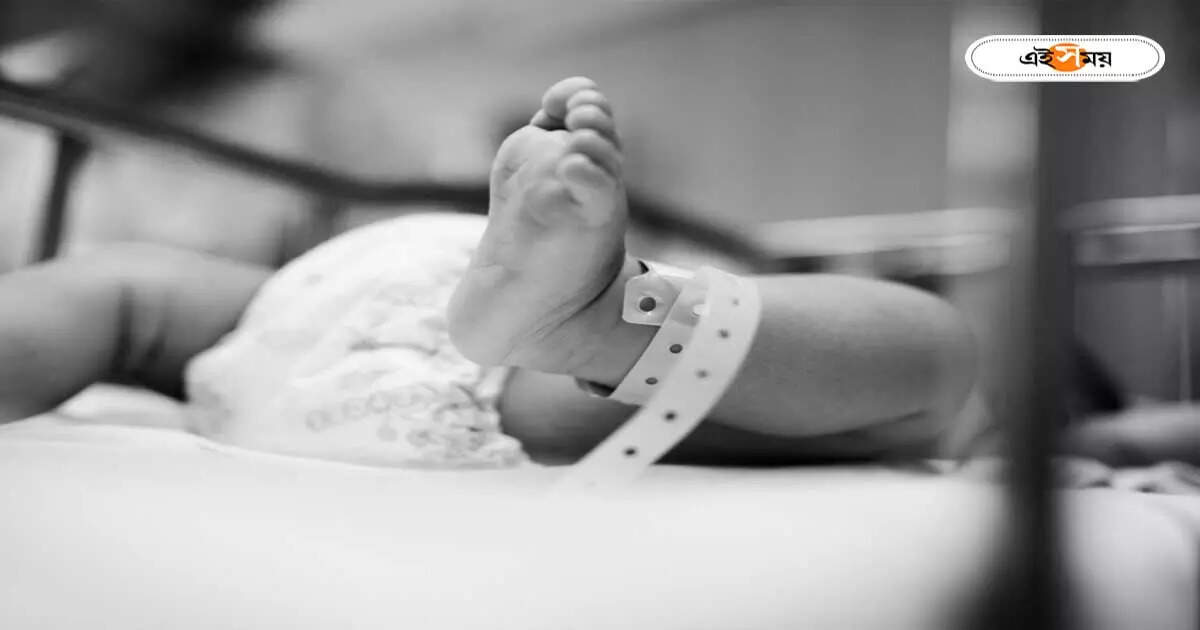 Child Death : দিদির কোল থেকে পড়ে গিয়ে মৃত্যু হল এক শিশুর, মর্মান্তিক ঘটনা রায়গঞ্জে – child death accidently fallen from lap of her elder sister at raiganj uttar dinajpur