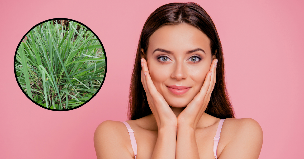 This simple looking grass has many benefits, it cures every facial problem in minutes