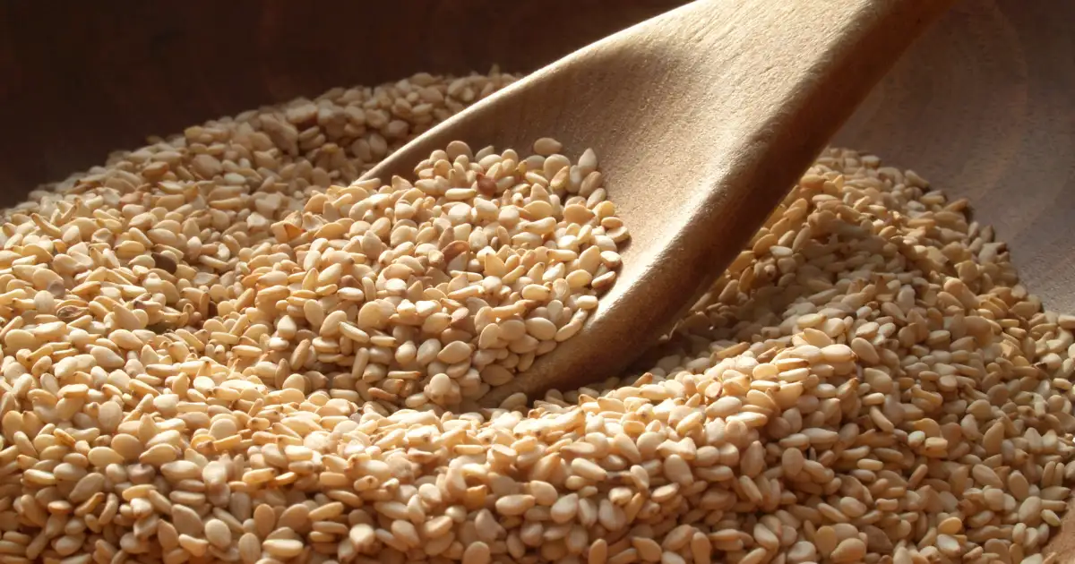 How To Eat Sesame Seeds Daily,Sesame Seeds: 10 बीमारियों में राहत दे सकते हैं तिल के बीज, दूर होगा दर्द - vitamin, calcium and protein rich sesame seeds benefits for constipation, cancer