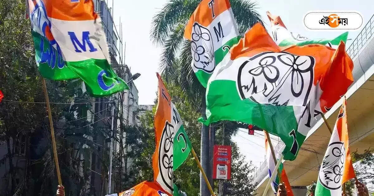 Lok Sabha Election : কাউন্সিলরদের ‘গুরুদায়িত্ব’, কলকাতা দক্ষিণের নির্বাচনী কমিটি নিয়ে বড় সিদ্ধান্ত তৃণমূলের – kolkata dakhin lok sabha constituency all trinamool councillor name included in the election committee