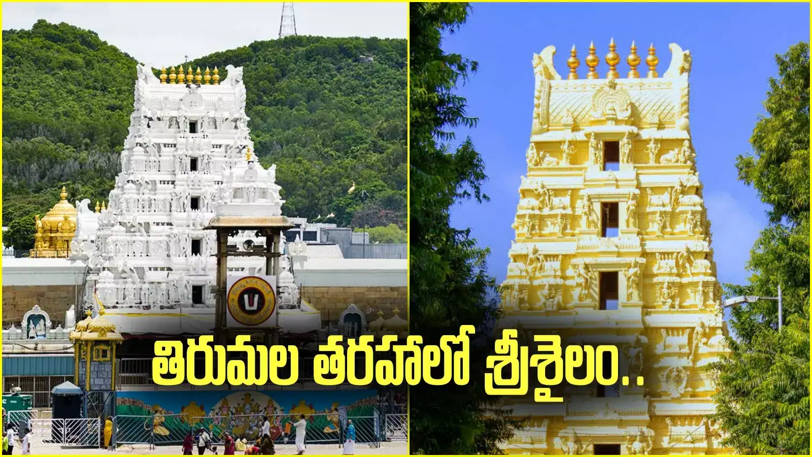 తిరుమల తరహాలో శ్రీశైలం.. మాస్టర్ ప్లాన్ రూపకల్పనపై ఫోకస్.. ఐకానిక్ బ్రిడ్జ్ కూడా!