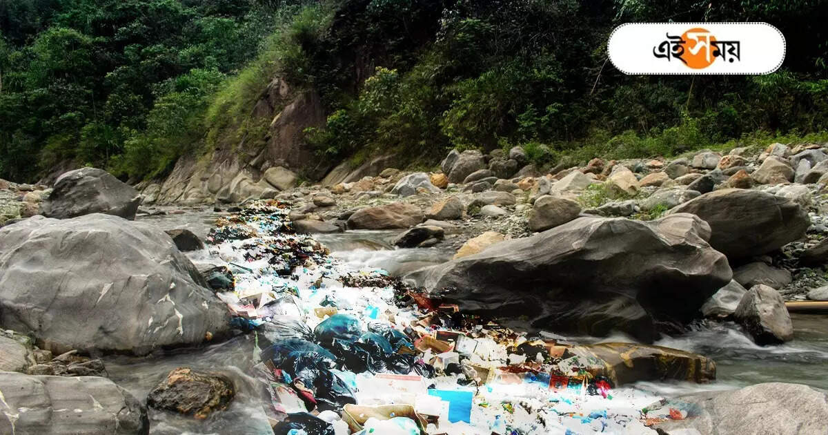 Darjeeling Municipality: পাহাড়ের ঢালে জঞ্জাল, পরিবেশ বিষোচ্ছে শৈলশহরের – darjeeling municipality has no specific dumping ground garbage accumulating in mountain streams