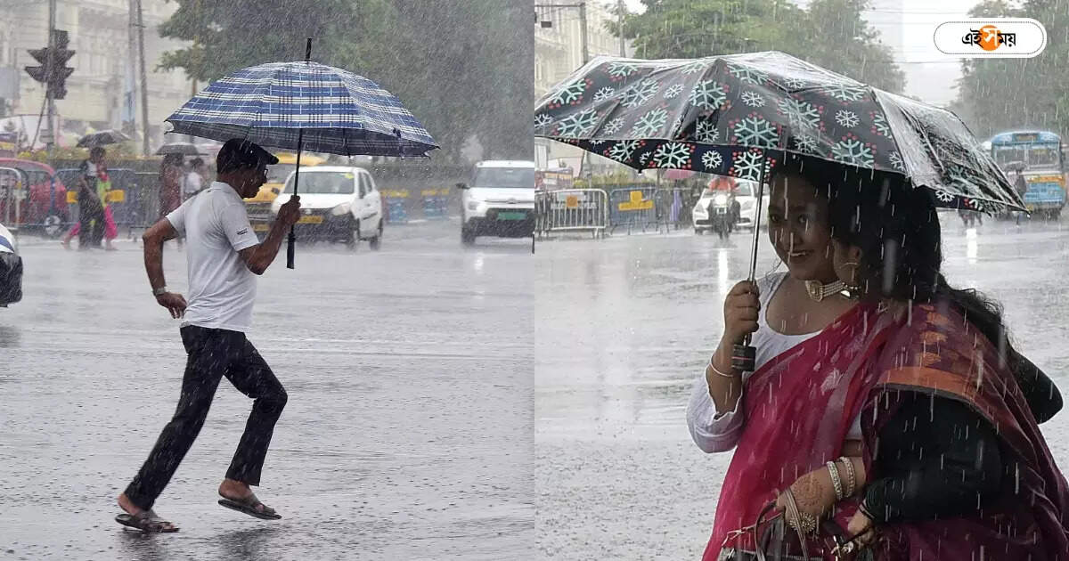 West Bengal Rain Forecast,বৃহস্পতিবার দুই বঙ্গেই কমবে বৃষ্টি, শুক্রয় ফের হাওয়া বদলের পূর্বাভাস – rain may reduce in many districts of west bengal from today