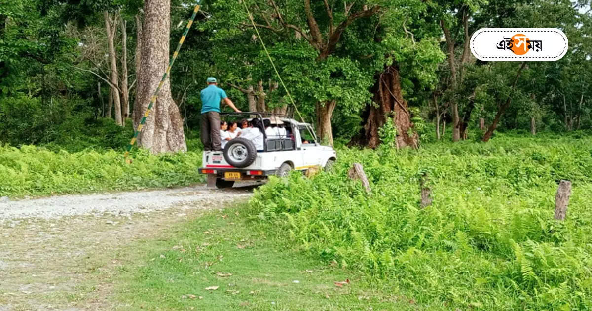 West Bengal Forest : পর্যটকদের জন্য দুঃসংবাদ! তিন মাসের জন্য বন্ধ হচ্ছে রাজ্যের সমস্ত অভয়ারণ্য – natural park and forest of west bengal will be closed for three months due to breeding time of animals