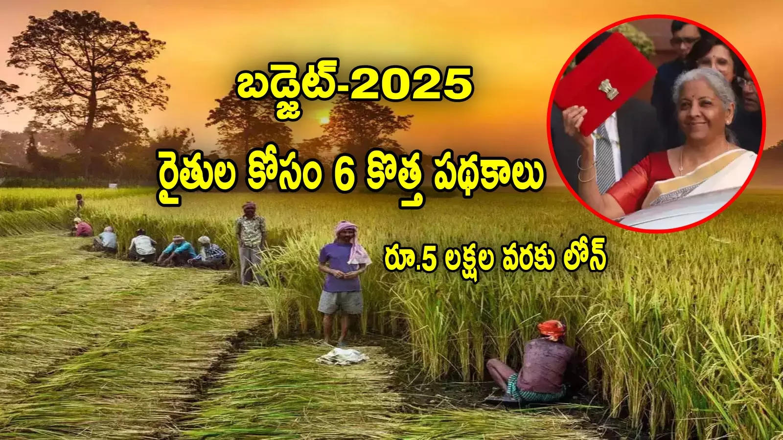 Budget 2025: రైతులపై వరాల జల్లు.. 6 కొత్త పథకాలు.. రూ.5 లక్షలకు లిమిట్ పెంపు