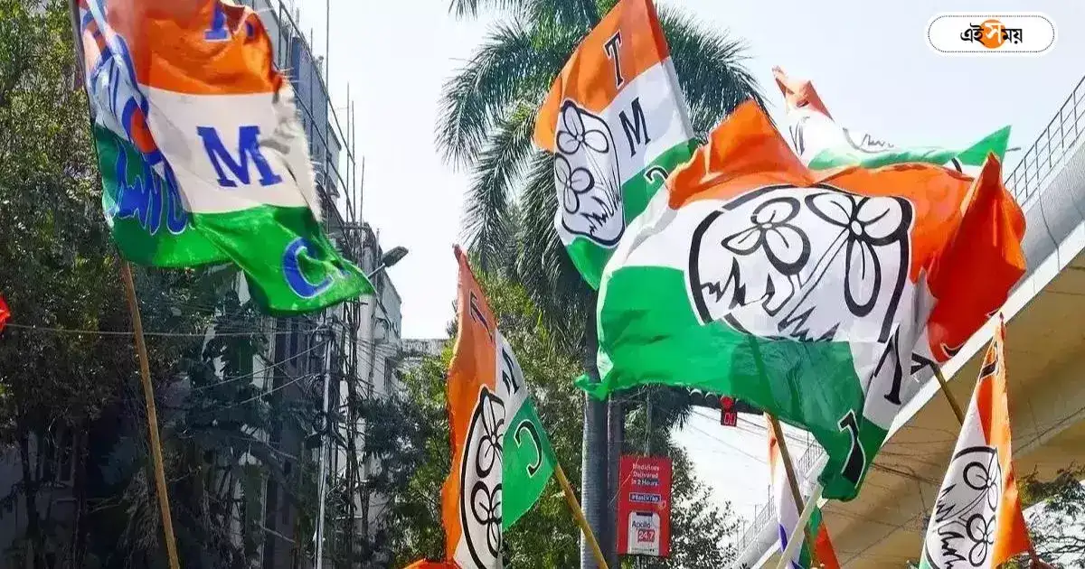 TMC West Bengal : এক পদে ২ সভাপতি, চরম বিভ্রান্তি! দুই TMC নেতার দ্বন্দ্বে তুঙ্গে জল্পনা – trinamool congress two president in memari purba bardhaman jai hind bahini creates confusion in district tmc