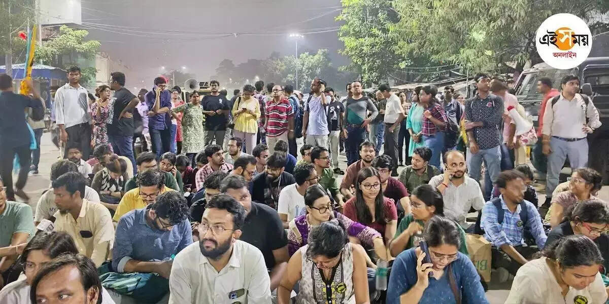 মুখ্যসচিবের সঙ্গে বৈঠকেও কাটল না জট, হতাশ চিকিৎসকরা – doctors are not happy after conducting meeting with west bengal chief secretary