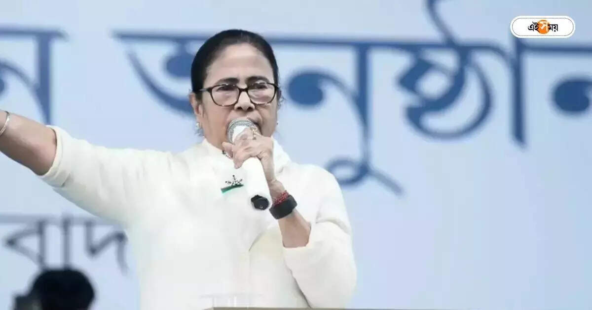 Mamata Banerjee : ‘প্রয়োজনে বাড়ি করে দেব…বিশেষ ব্যবস্থা নেওয়া হবে,’ কাদের জন্য এই ঘোষণা মমতার? – mamata banerjee big announcement on prevention of malda murshidabad ganga river erosion