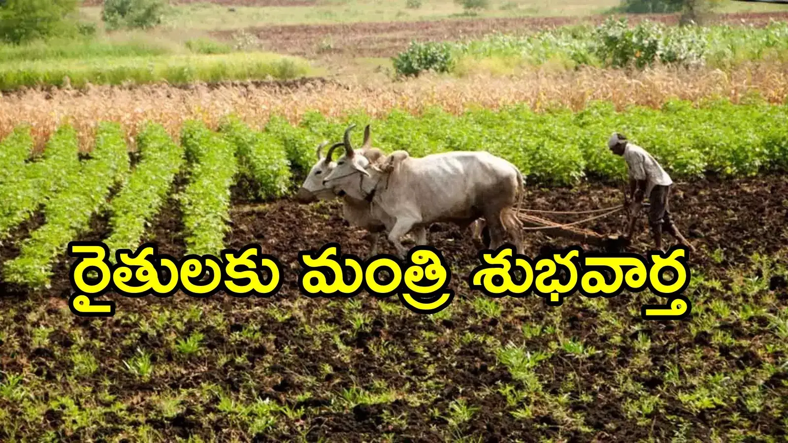 ఏపీ రైతులు ఒక్కొక్కరి అకౌంట్‌లో రూ.20వేలు.. అన్నదాత సుఖీభవ పథకంపై మరో కీలక ప్రకటన