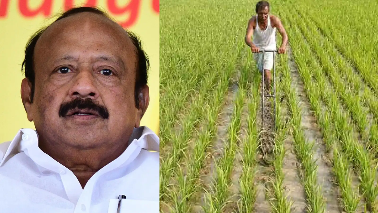 தமிழக விவசாயிகளுக்கு குட்நியூஸ்! சம்பா பயிர்களுக்கு காப்பீடு காலவரம்பு நீட்டிப்பு- MRK பன்னீர்செல்வம் அறிவிப்பு 