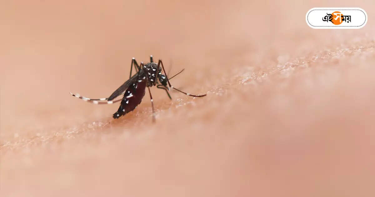 Prevent Dengue,বাড়ছে ডেঙ্গি আক্রান্তের সংখ্যা, সতর্ক স্বাস্থ্য দপ্তর – west bengal health officials meeting in asansol and durgapur to prevent dengue