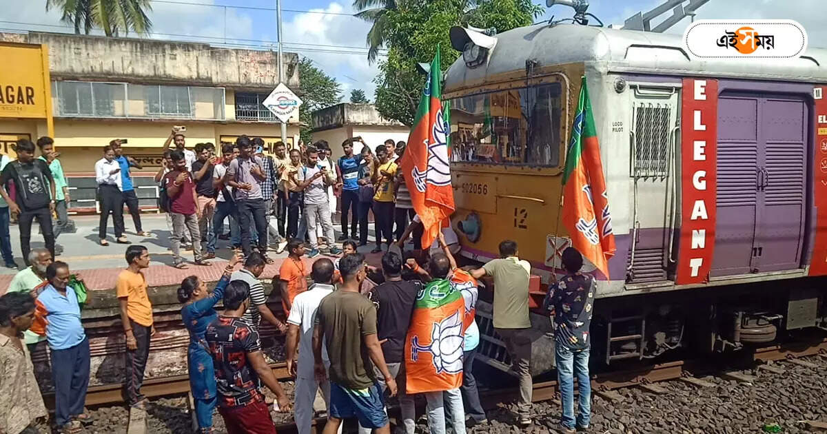 Bengal Bandh,অভিযানের পরে বন্‌ধেও বিক্ষিপ্ত হিংসা, ভাটপাড়ায় চলল গুলি – bjp 12 hour bengal bandh witnessed sporadic violence in almost all districts