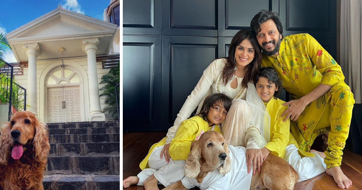 Ritesh-Genelia's bungalow is no less than a palace, from stairs to modern walls, everything is goals