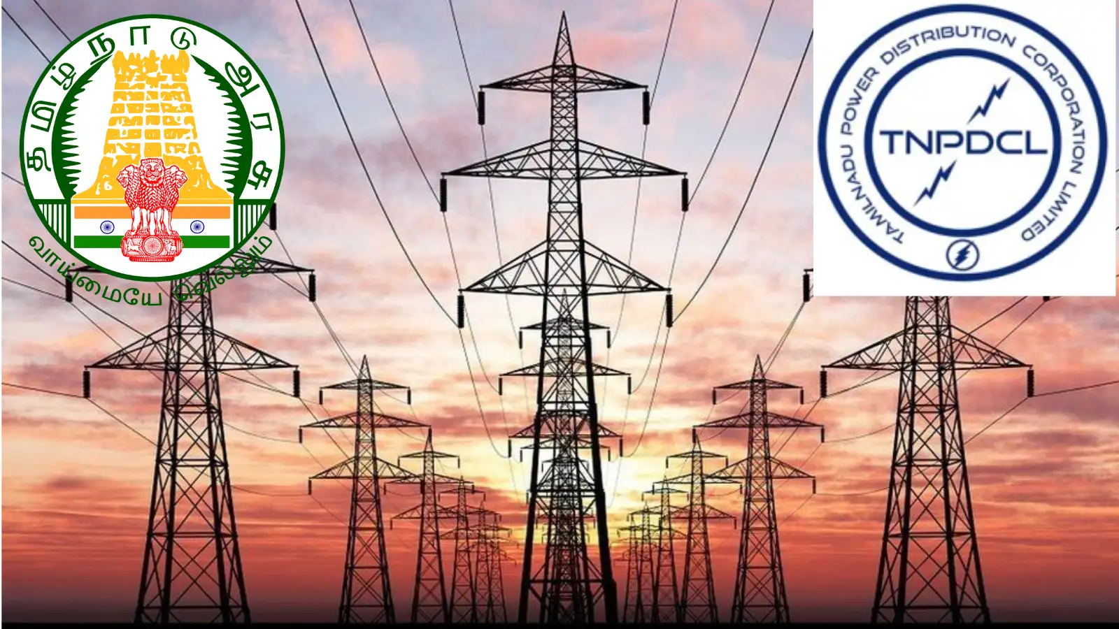 தமிழ்நாடு மின் பகிர்மானக் கழகத்தில் 1,794 கள உதவியாளர் பணியிடங்கள்; டிஎன்பிஎஸ்சி மூலம் நவம்பரில் தேர்வு - முழு விவரம் 