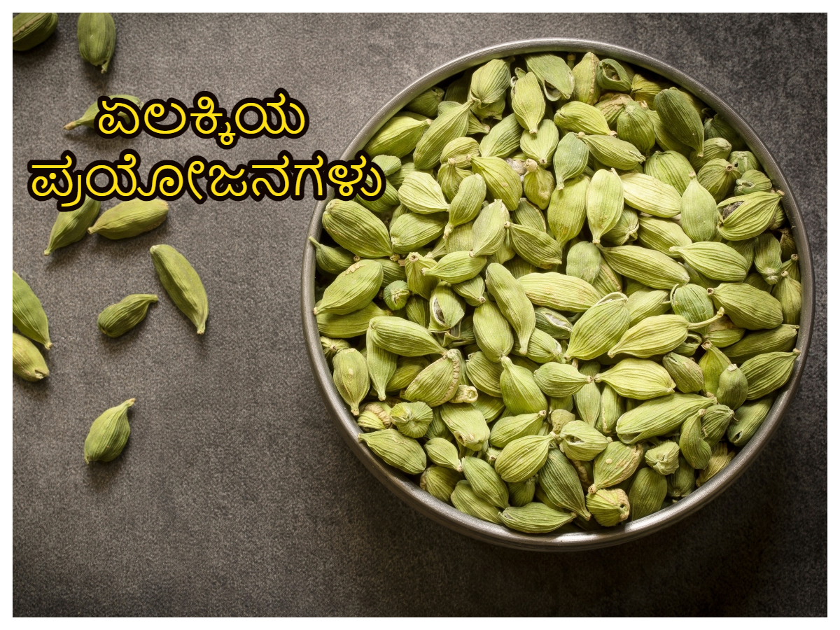 Chewing on a couple of cardamoms will not only get rid of bad breath but also good for the heart
