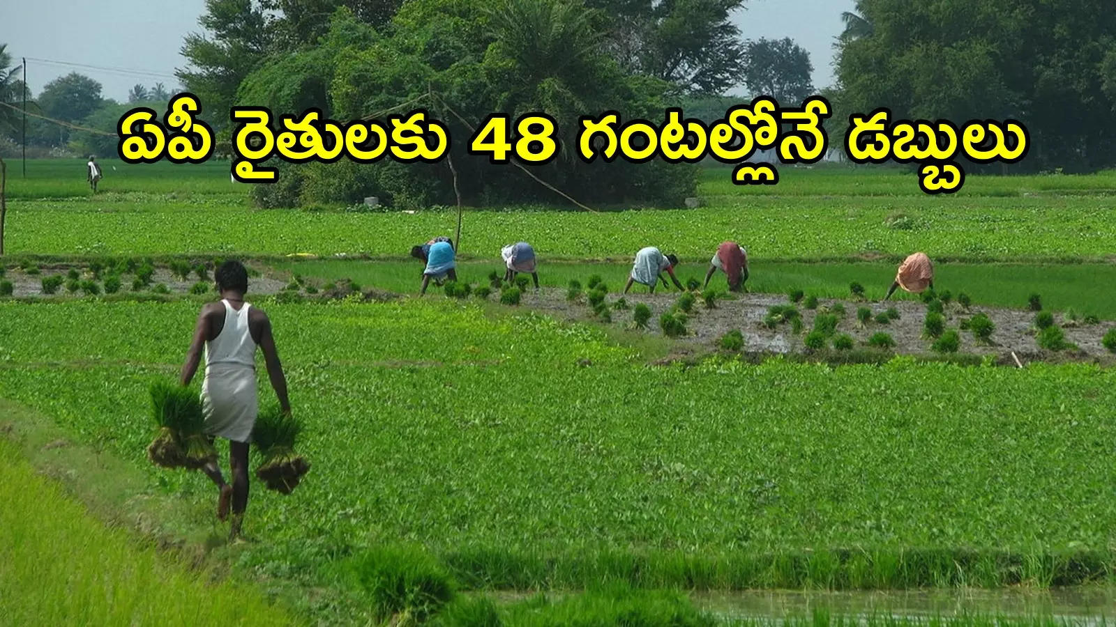 ఏపీలో రైతులకు ఇకపై 48 గంటల్లోనే అకౌంట్‌లలో డబ్బులు జమ.. మంత్రి కీలక ప్రకటన