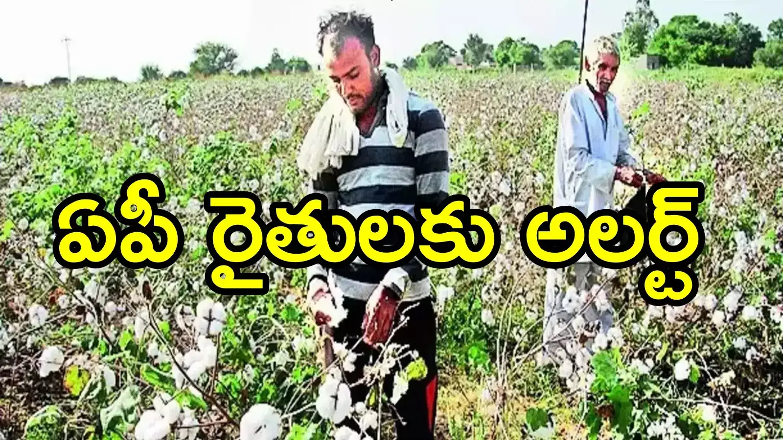 ఏపీలో రైతులకు ముఖ్య గమనిక.. నేటి నుంచే ప్రారంభం, వారంలో అకౌంట్‌లలో డబ్బులు