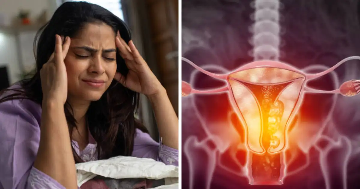 Menopause Signs, Symptoms, Causes And Home Remedies In Women Body
