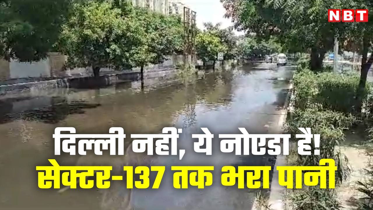 Delhi-NCR Flood: हिंडन और यमुना का घट रहा पानी, लेकिन फिर बारिश फिर बढ़ा सकती है लोगों की परेशानी