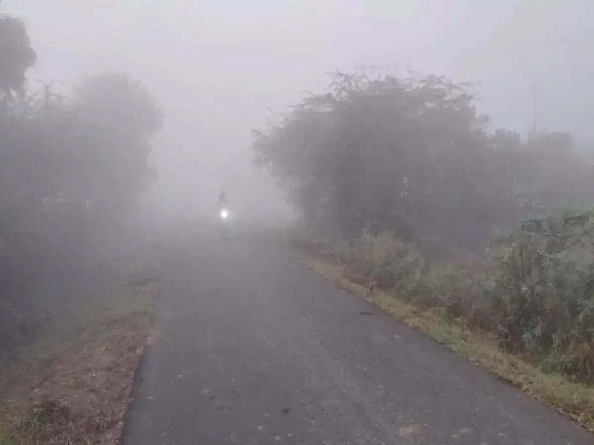 கரூரில் கடும் பனிப்பொழிவு: குளிரில் நடுங்கியபடி சென்ற வாகன ஓட்டிகள் 